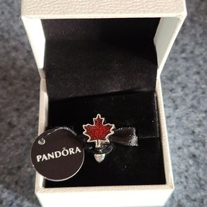Pandora charm